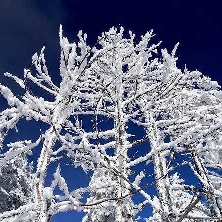 Penzion Horská Chata Návrší Staré Město