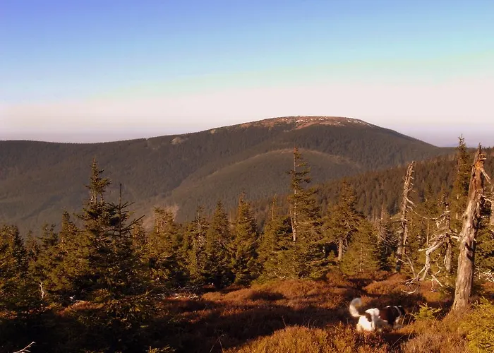 Affittacamere Horská Chata Návrší *